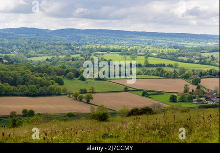 Blick auf die Landschaft und das Ackerland in Blatchford Down auf dem North Downs Way, Abinger Hammer in der Surrey Hills Area of Outstanding Natural Beauty Stockfoto