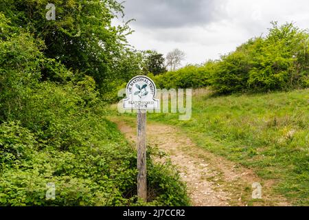 Blick auf das Namensschild des National Trust in Blatchford Down auf dem North Downs Way, Abinger Hammer in der Surrey Hills Area of Outstanding Natural Beauty Stockfoto