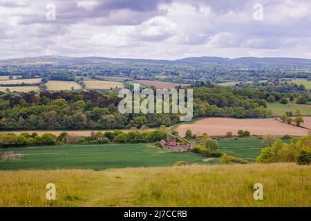 Blick auf die Landschaft und das Ackerland in Blatchford Down auf dem North Downs Way, Abinger Hammer in der Surrey Hills Area of Outstanding Natural Beauty Stockfoto