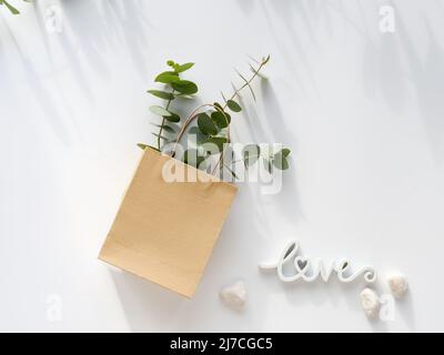 Basteltasche mit Eukalyptus im Winter und weißer Helleborus Blume und Holz Wort Liebe Stockfoto