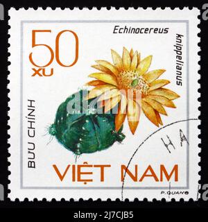 VIETNAM - UM 1985: Eine in Vietnam gedruckte Marke zeigt Echinocereus Knippelianus, Kaktus, um 1985 Stockfoto