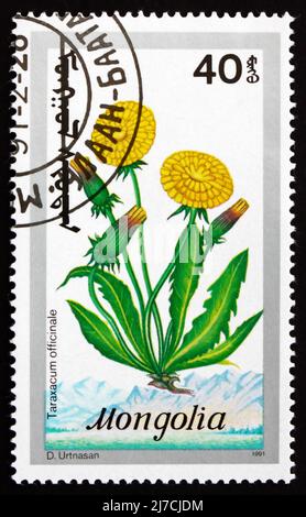 MONGOLEI - UM 1991: Eine in der Mongolei gedruckte Briefmarke zeigt Dandelion, Taraxacum Officinale, Wildflower, um 1991 Stockfoto