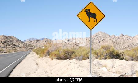 Bighorn Schaf, RAM Crossing Warnschild gelb, Kalifornien USA. Wilde Tiere, die Verkehrsschilder, sicheres Fahren auf der Straße. Schutz der Tierwelt vor Autos, Autobahn in Wüstenwildnis. Roadtrip Stockfoto