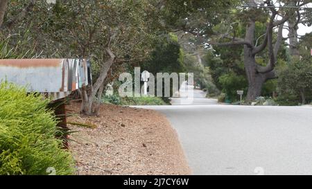 Typische allgemeine Vorstadtstraße, Wohnviertel mit freistehenden Einfamilienhäusern, Carmel City Road, Monterey, Kalifornien, USA. Bäume grasen in einem Vorort der Nachbarschaft. Dropbox, Mailbox oder Postbox. Stockfoto