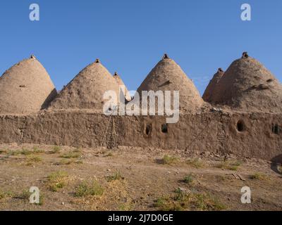 Traditionelle Bienenstock Schlamm Backstein Wüstenhäuser, Harran in der Nähe der syrischen Grenze, Türkei Stockfoto