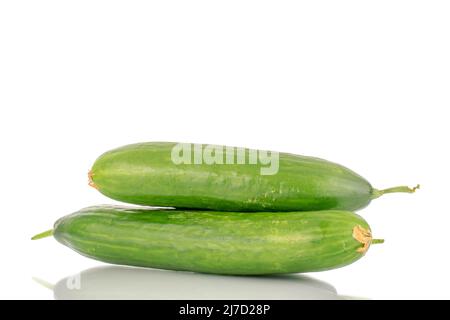 Zwei saftige, glatte Gurken, Makro isoliert auf weißem Hintergrund. Stockfoto