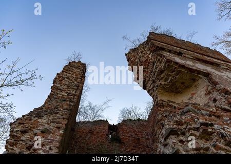 Steinmauer einer alten mittelalterlichen Ruine einer verlassenen Festung. Niedriger Winkel Blick in den blauen Himmel. Auf dem Gebäude wachsen kleine Bäume. Stockfoto