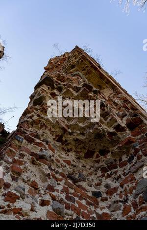 Steinmauer einer alten mittelalterlichen Ruine einer verlassenen Festung. Niedriger Winkel Blick in den blauen Himmel. Auf dem Gebäude wachsen kleine Bäume. Stockfoto