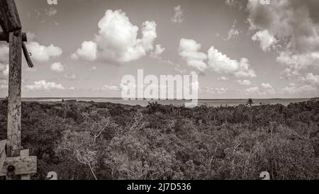 Altes Schwarz-Weiß-Bild von Panoramablick auf die Muyil Lagune vom hölzernen Aussichtsturm im tropischen Dschungel Naturwald von Sian Ka'an Na Stockfoto