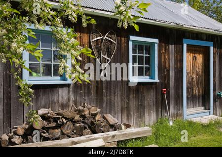 Alte Holzdiele Lagerschuppen im Hinterhof hinter dem alten Haus im Frühjahr. Stockfoto