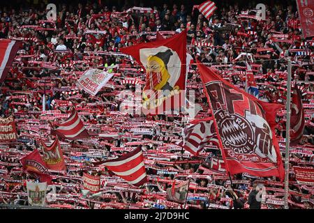 Bayern, München: 08. Mai 2022, Fußball: Bundesliga, Bayern München - VfB Stuttgart, Spieltag 33., Allianz Arena, Münchner Fans feiern auf den Tribünen. Foto: Sven Hoppe/dpa - WICHTIGER HINWEIS: Gemäß den Anforderungen der DFL Deutsche Fußball Liga und des DFB Deutscher Fußball-Bund ist es untersagt, im Stadion und/oder vom Spiel aufgenommene Fotos in Form von Sequenzbildern und/oder videoähnlichen Fotoserien zu verwenden oder zu verwenden. Stockfoto