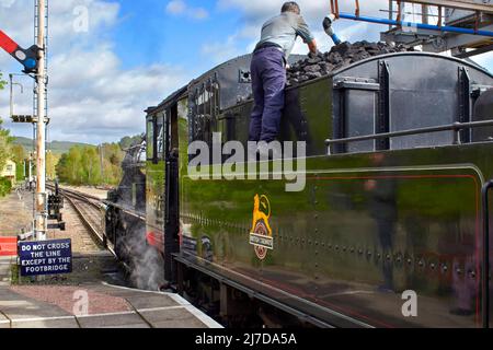 STRATHSPEY EISENBAHNBOOT DER GARTEN STATION SCOTLAND ÜBERPRÜFT DIE KOHLELIEFERUNG AUF DEM DAMPFZUG Stockfoto