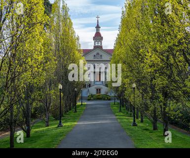 Ein von Bäumen gesäumter Pfad führt zur Saint Ann's Academy in Victoria, British Columbia, Kanada. Stockfoto