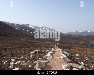 Blick Richtung Brieriach vom Fußweg zwischen Lairig Ghru & Chalamain Gap. Sgoran Dubh Mor in weiter Ferne. Dunstiger Himmel und Rentiere links. Stockfoto