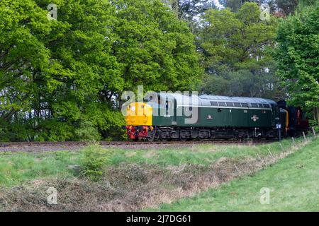 Diesel Train 40106 auf der Severn Valley Railway in Richtung Bridgnorth in Shropshire, Großbritannien Stockfoto