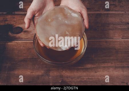 Weibliche Hände halten Teepilze in Glas auf Holz Hintergrund. Kombucha wird vorbereitet. . Hochwertige Fotos Stockfoto