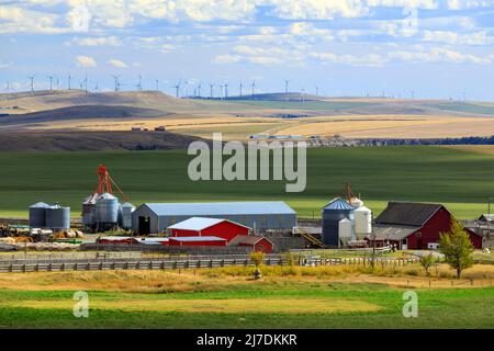 Eine landwirtschaftliche Farm und Ackerland-Landschaft in den kanadischen Prärien in der Nähe von Lundbreck, Alberta, Kanada. Stockfoto