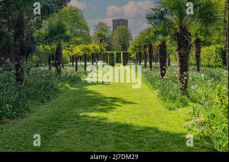 Szenen aus den Gärten im East Ruston Old Vicarage Garden in East Norfolk, Großbritannien. Stockfoto