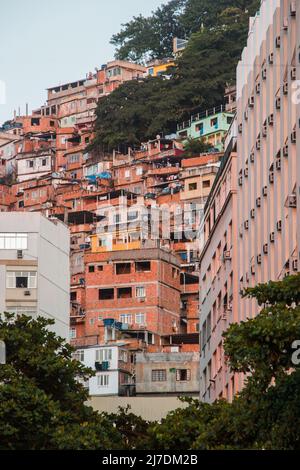 Favela Peacock in der costa rica in Rio de Janeiro, Brasilien. Stockfoto