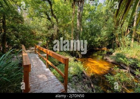 Wanderwege und Wasser am Bear Creek Nature Trail in Winter Springs, Florida Stockfoto