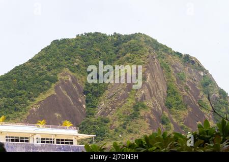 Ziegenhügel im Viertel der Stadt in Rio de Janeiro. Stockfoto