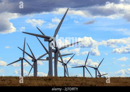 Eine Windkraftanlage ist ein Gerät, das die kinetische Energie des Windes in elektrische Energie in Anlagen, die als Windparks bekannt sind, umwandelt. Stockfoto