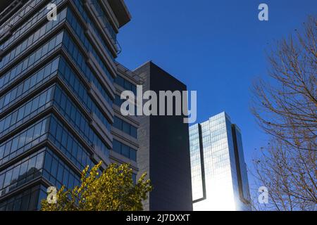 Architektur- oder Geschäftshintergrundfoto. Wolkenkratzer und Bäume. Konzeptfoto der Bauindustrie. Stockfoto