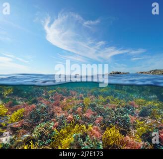 Meereslandschaft, bunte Algen unter Wasser und blauer Himmel mit Wolken, Split-Level-Ansicht über und unter der Wasseroberfläche, Atlantischer Ozean Stockfoto