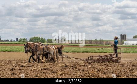 Lancaster County, Pennsylvania, 5. Mai 2022: Amish Farmer Pflüge Feld. Stockfoto