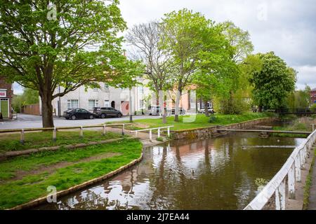 Der Fluss Leven, der im Zentrum der Stadt Stokesley North Yorkshire bei Frühlingssonne durch den Wald fließt Stockfoto