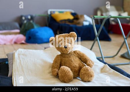 Teddybär von brauner Farbe sitzt auf dem Bett mit weißer Baumwolldecke Flüchtlingskind in großen Raum für Migranten vorbereitet gemacht Stockfoto