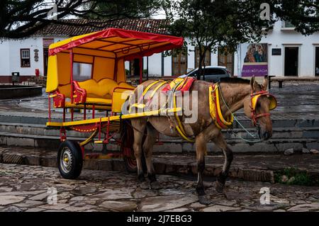 An einem Pferd befestigte bunte Wagen hielten an der Straße Silvio Vasconcelos, vor dem Platz Largo das Forras, und warteten auf Touristen für eine Dorftour. Stockfoto