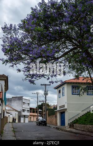 Blick auf die Homem de Almeida Straße mit einem großen rosa Trompetenbaum voller Blumen in der Nähe der Nossa Senhora das Merces Kirche in Sao Joao del Rei Innenstadt. Stockfoto