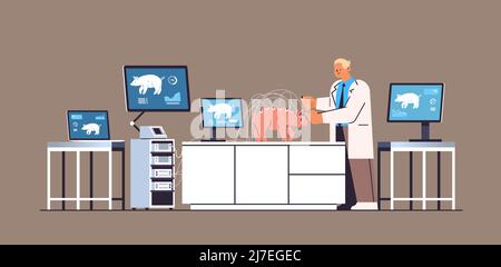 Wissenschaftler oder Tiermediziner, die Experimente im Labor mit experimenteller Forschung zur biologischen Gentechnik von Schweinen durchführen Stock Vektor