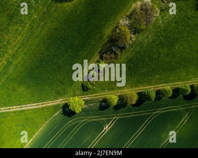 Landschaftlich reizvolle Luftaufnahme von mit Bäumen gesäumten Feldwegen, die sich im Frühjahr zwischen saftigen Wiesen und grünen Feldern in der ländlichen Region oberlausitz kreuzen Stockfoto