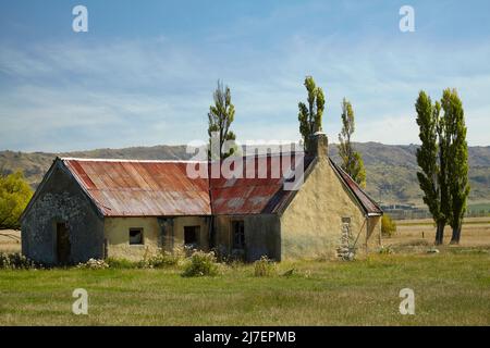 Verkommen Bauernhaus, in der Nähe Patearoa, Maniototo, Central Otago, South Island, Neuseeland Stockfoto
