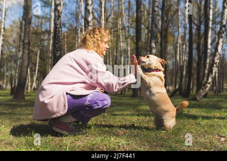 Attraktive hübsche kaukasische Frau mit einem rosa Mantel, die auf dem Boden hockend und ihren kleinen goldenen Hund in einem Park trainiert. Hochwertige Fotos Stockfoto