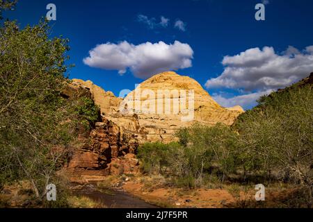 Dies ist eine Frühjahrsansicht des Capitol Dome, einer der Namensvetter des Capitol Reef National Park, Torrey, Wayne County, Utah, USA. Stockfoto