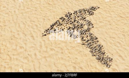 Konzept konzeptuelle Steine am Strand Sand handgemachte Symbolform, goldener sandiger Hintergrund, medizinische caduceus Symbol. Stockfoto