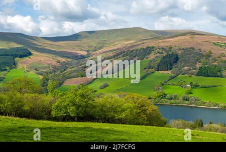 Ein Blick auf den Berg Waun Rydd über das Talybont Valley in den Central Brecon Beacons an einem sonnigen Maitag Stockfoto