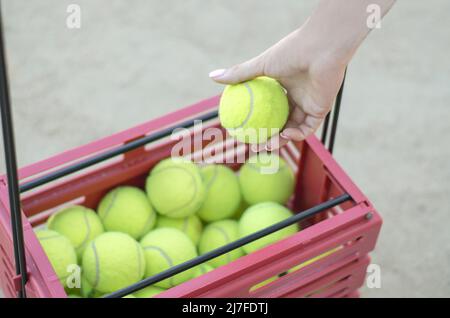 Die Hand einer Frau nimmt einen Tennisball aus einem Korb. Korb mit Tennisbällen Stockfoto