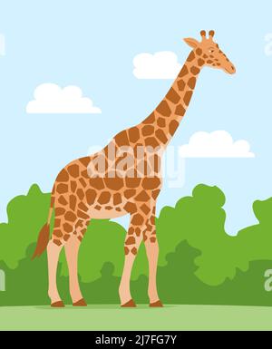 Cartoon niedliche Giraffe auf Natur Hintergrund. Afrikanisches Pflanzenfresser-Säugetier. Zoo und Safari. Vektor isoliert Baby Illustration Stock Vektor