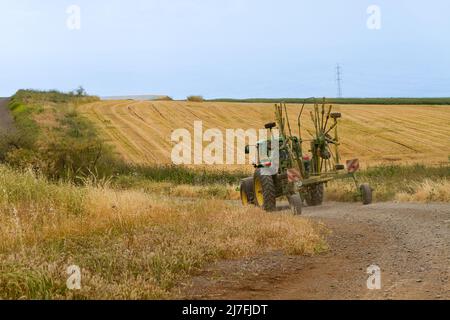 Gerstenernte. Fotografiert in Israel im April Gerste (Hordeum vulgare), ein Mitglied der Grasfamilie, ist ein großes Getreide in gemäßigten gewachsen Stockfoto