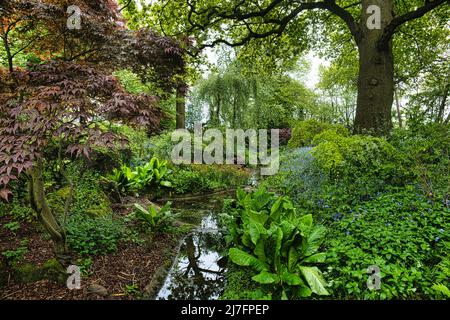 Die Dell, Dorfold Hall Stockfoto