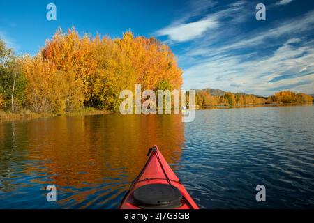 Kajak- und Herbstreflexionen in Kellands Pond, in der Nähe von Twizel, Mackenzie District, North Otago, South Island, Neuseeland Stockfoto