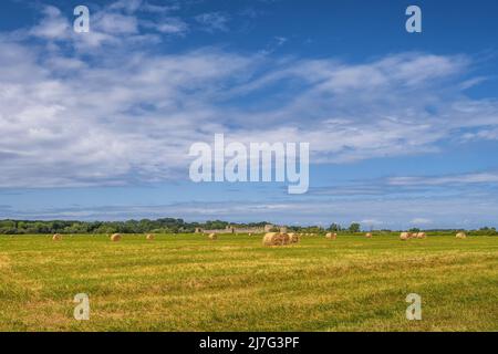 Agricultural field with harvested hay and stacks in summer. Haystacks Stockfoto