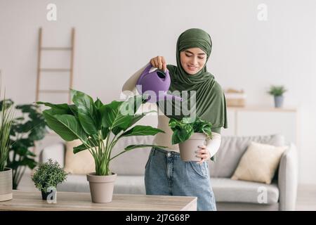 Positive junge arabische Frau in Hijab Bewässerung Zimmerpflanzen zu Hause, kopieren Raum Stockfoto