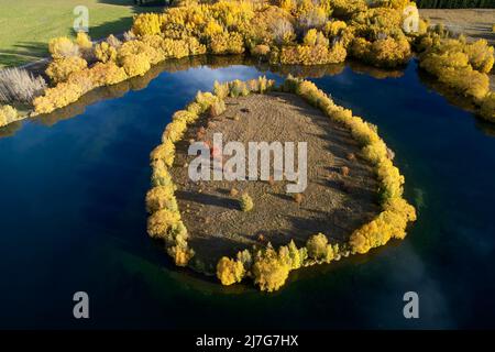 Herbstfarben und Insel in Wairepo Arm, Twizel, Mackenzie District, North Otago, South Island, Neuseeland - Drohnenantenne Stockfoto