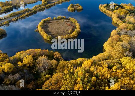 Herbstfarben und Insel in Wairepo Arm, Twizel, Mackenzie District, North Otago, South Island, Neuseeland - Drohnenantenne Stockfoto