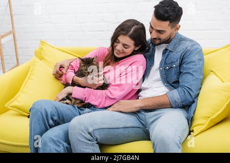 Ein multiethnisches Paar blickt auf eine bengalische Katze, während es auf der Couch im Wohnzimmer sitzt Stockfoto
